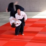 Aikido Wattens 2014